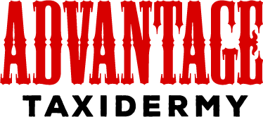 Advantage Taxidermy logo