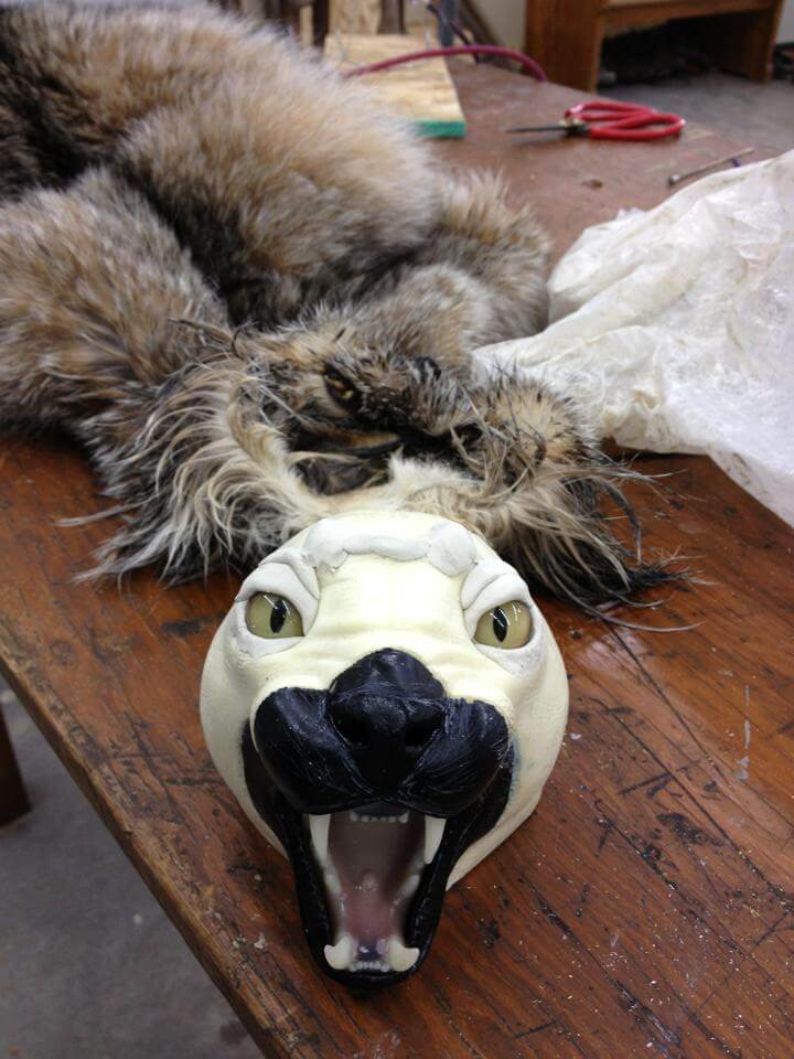 Lynx