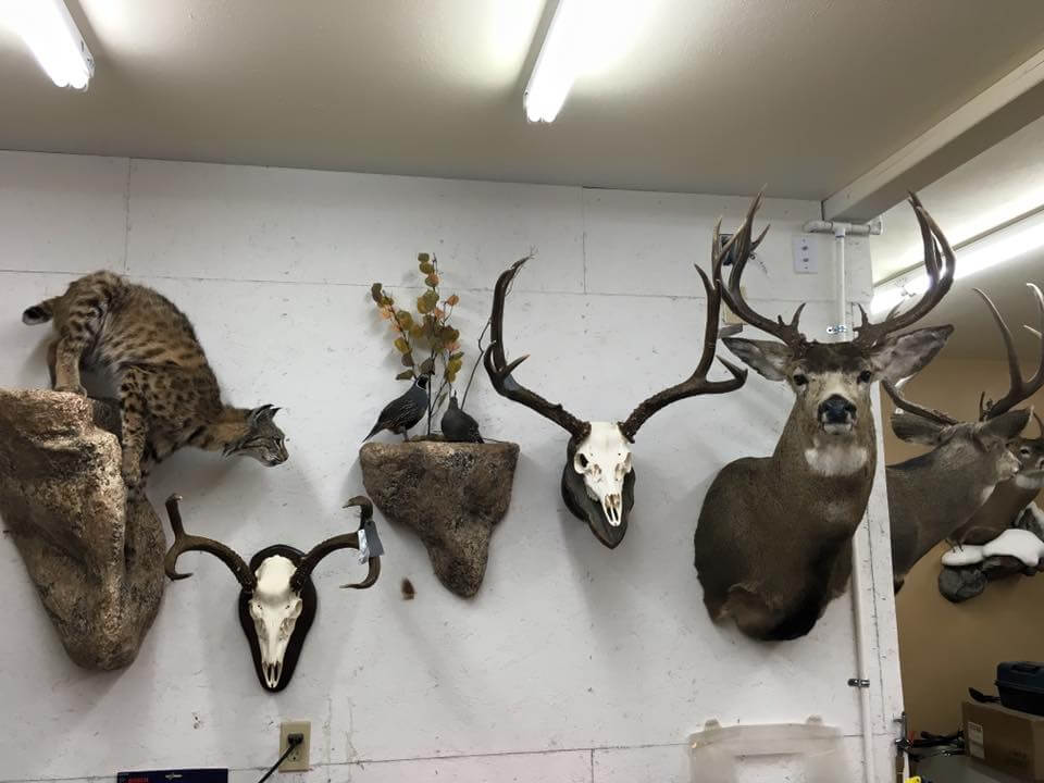Shop
