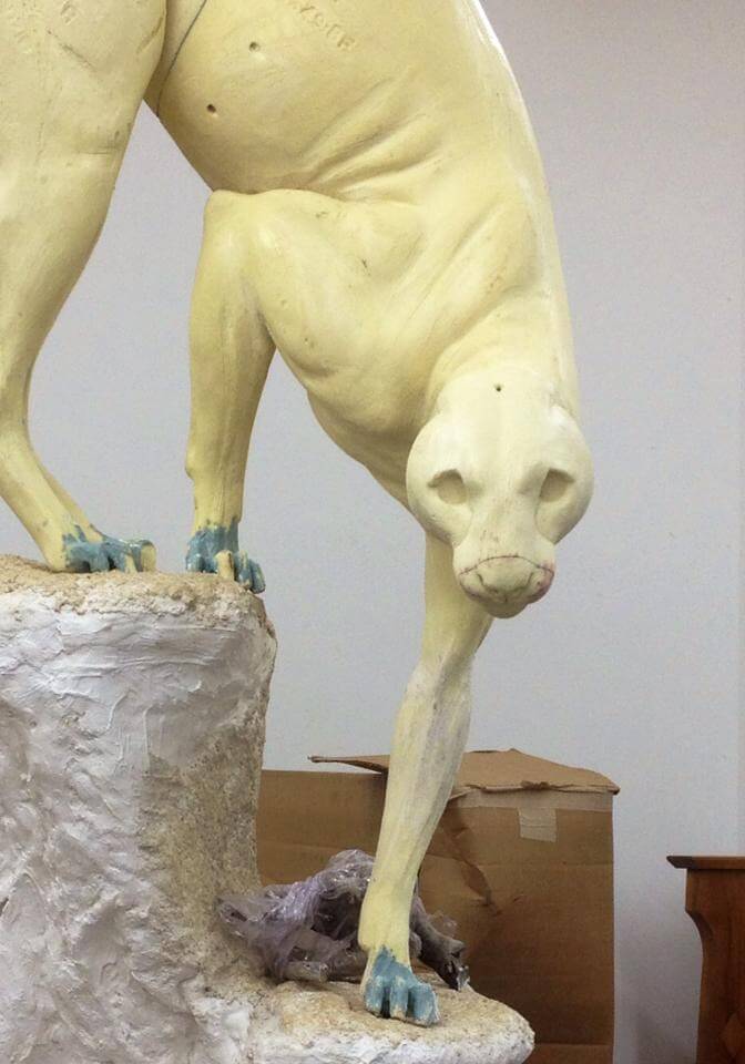 Cougar