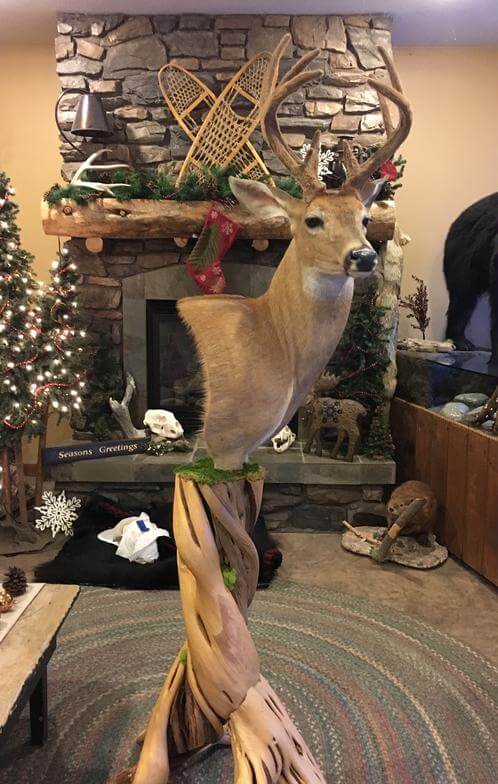 Buck