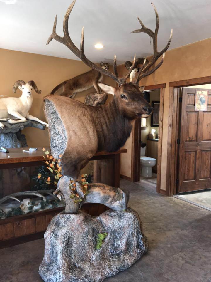 Elk