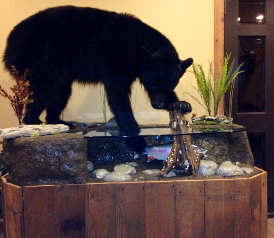 Bear